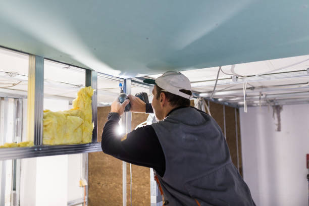 Best Commercial Insulation in Dalhart, TX