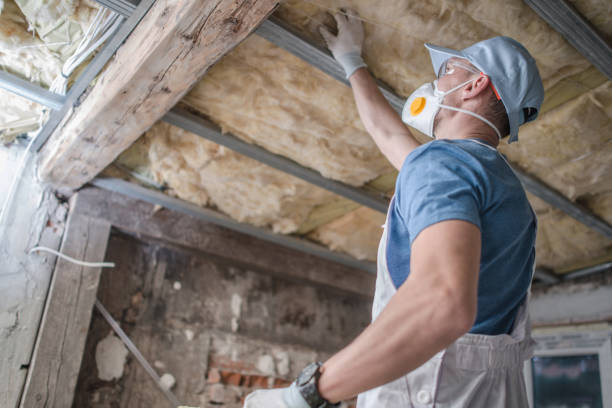 Best Residential Insulation in Dalhart, TX