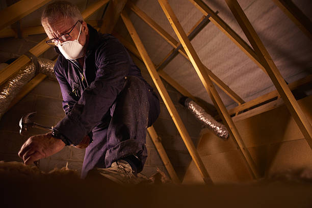Best Specialty Insulation in Dalhart, TX