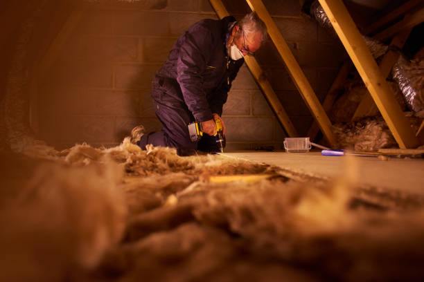 Best Insulation Installation Services in Dalhart, TX